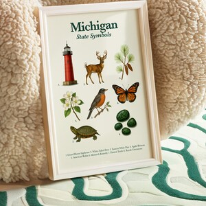May include: A framed print titled "Michigan State Symbols" featuring illustrations of the Grand Haven Lighthouse, a deer, a pine branch, an apple blossom, a robin, a monarch butterfly, a turtle, and Royale Greenstone.
