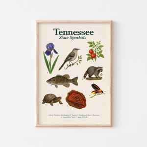 Póster de símbolos del estado de Tennessee, arte mural educativo, impresión inspirada en la naturaleza, fauna y plantas de Tennessee, descarga digital
