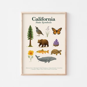 Póster de símbolos del estado de California / Imprimible educativo / Animal, ave, flor, árbol y más del estado