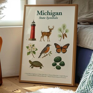 May include: A framed print titled "Michigan State Symbols" features illustrations of the Grand Haven Lighthouse, a deer, pine, apple blossoms, a robin, a monarch butterfly, a turtle, and green stones. The print is in a wooden frame.