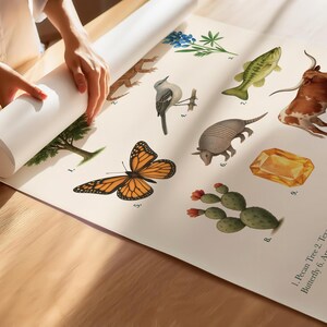 Texas State Symbols Poster | Educational Printable | State Animal, Bird, Flower, Tree & More image 2