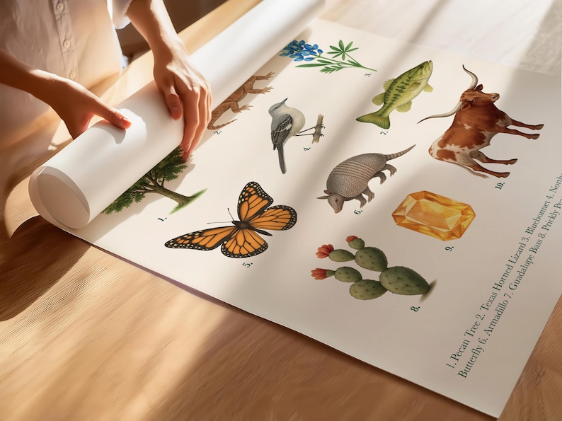 Texas State Symbols Poster | Educational Printable | State Animal, Bird, Flower, Tree & More image 2