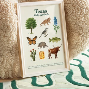 Texas State Symbols Poster | Educational Printable | State Animal, Bird, Flower, Tree & More image 3