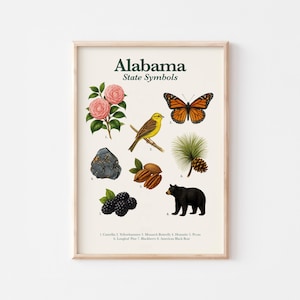 Alabama State Symbols Poster Educational Wall Art  Nature Print for Kids Digital Download Illustrated USA States Series