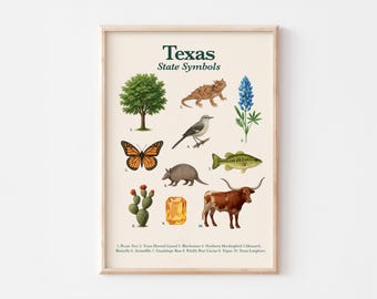 Texas State Symbols Poster | Educational Printable | State Animal, Bird, Flower, Tree & More