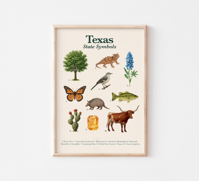 Texas State Symbols Poster | Educational Printable | State Animal, Bird, Flower, Tree & More image 1