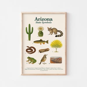 Póster de símbolos del estado de Arizona / Imprimible educativo / Animal, ave, flor, árbol y más del estado