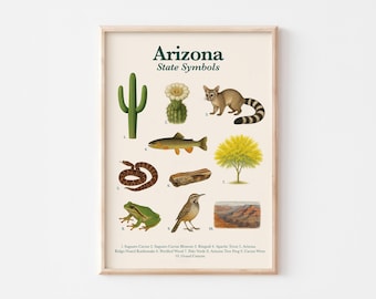 Arizona State Symbols Poster | Educational Printable | State Animal, Bird, Flower, Tree & More