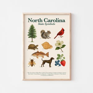 Póster de símbolos del estado de Carolina del Norte / Arte mural educativo / Imprimible estilo vintage / Descarga digital / Arte de vida silvestre para habitación infantil