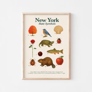 Póster de símbolos del estado de Nueva York / Imprimible educativo / Animal, ave, flor, árbol y más del estado