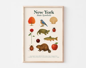 New York State Symbols Poster — Vintage Educational Wildlife Print