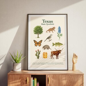 Texas State Symbols Poster | Educational Printable | State Animal, Bird, Flower, Tree & More image 4
