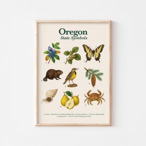Póster ilustrado con símbolos del estado de Oregón, arte mural educativo, impresión digital de la naturaleza del noroeste del Pacífico, estilo vintage.