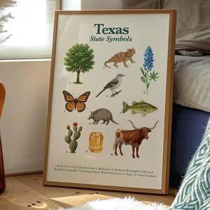 Texas State Symbols Poster | Educational Printable | State Animal, Bird, Flower, Tree & More image 5