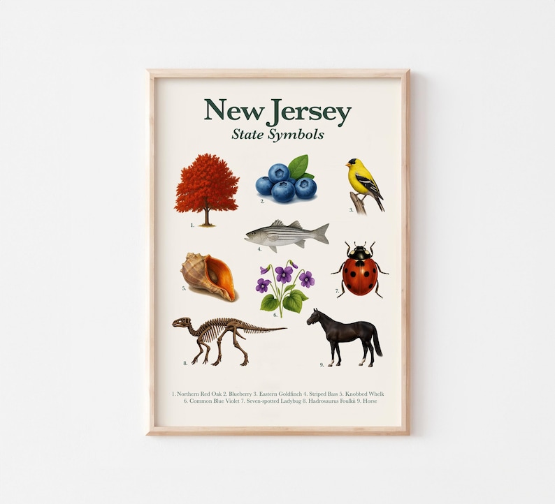 New Jersey State Symbols Poster: Vintage Botanical Wildlife Art ...