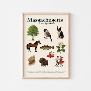 Póster de símbolos del estado de Massachusetts / Imprimible educativo / Animal, ave, flor, árbol y más del estado