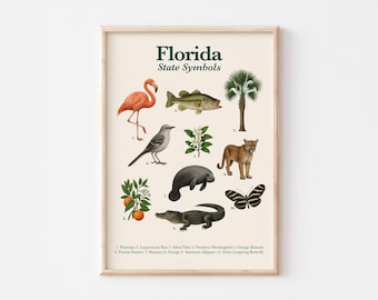 Florida State Symbols Poster | Educational Printable | State Animal, Bird, Flower, Tree & More