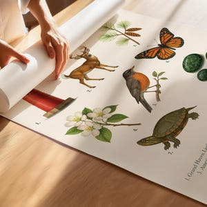 May include: A botanical print featuring illustrations of a butterfly, bird, turtle, deer, and flowers. The print includes the text "Grand Haven Lighthouse, White-Tailed Deer, Eastern White Pine, American Robin, Monarch Butterfly". The print is being unrolled.