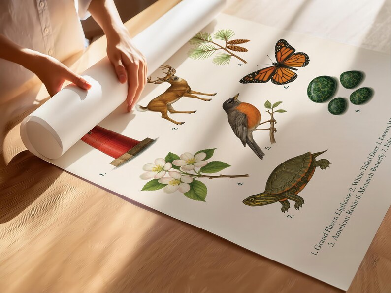 May include: A botanical print featuring illustrations of a butterfly, bird, turtle, deer, and flowers. The print includes the text "Grand Haven Lighthouse, White-Tailed Deer, Eastern White Pine, American Robin, Monarch Butterfly". The print is being unrolled.