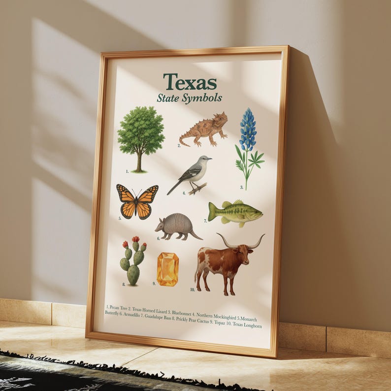 Texas State Symbols Poster | Educational Printable | State Animal, Bird, Flower, Tree & More image 7