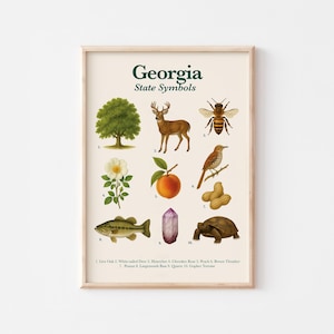 Póster de símbolos del estado de Georgia / Descarga digital de inspiración vintage / Arte mural educativo para la habitación o el aula de los niños