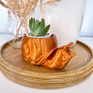 Snail Planter Digital File, Indoor Plant Pot, Succulent Planter, Cute Animal Planter Stl, 3D Printing Files, Snail Stl