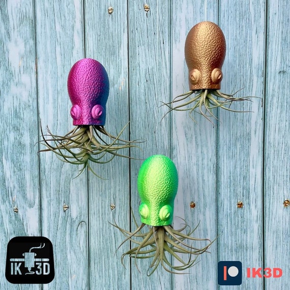 Hanging Air Plant Octopus Planter: 3D Printing Files (STL) - Etsy