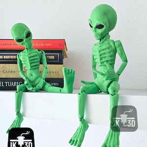 Print In Place Flexi Alien, Flexi 3D Printing STL, Poseable Articulated Alien Model, Flexible Toy for 3D Printers, Fun Sci-Fi Alien Gift