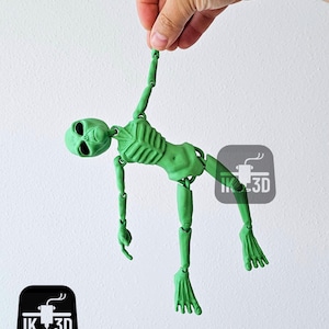 Puede incluir: Una figura de esqueleto de alien&iacute;gena verde articulada con una cabeza grande y extremidades largas. La figura est&aacute; en una posici&oacute;n colgante con los brazos y las piernas extendidos.