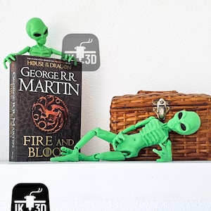 Puede incluir: Dos figuritas de extraterrestres verdes, una sosteniendo un libro titulado "Fire and Blood" de George R.R. Martin, la otra tumbada en una cesta de mimbre.