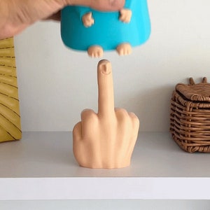 STL File for 3D Printing Middle Finger, Prank Gifts, Funny Middle Finger Figurine, Rude Gift with Surprise, Mr Nice Guy Digital Files