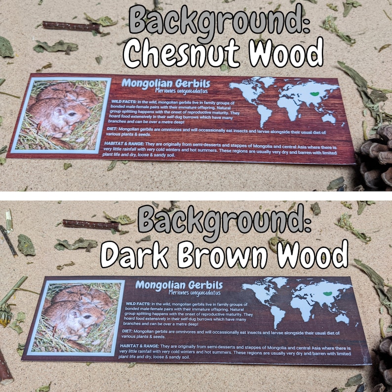 Puede incluir: Dos tarjetas informativas sobre los jerbos mongoles, con un fondo de madera marr&oacute;n. Las tarjetas muestran un mapa del mundo con un punto verde que marca la ubicaci&oacute;n de Mongolia. El texto en las tarjetas describe el h&aacute;bitat, la dieta y el comportamiento social del jerbo.