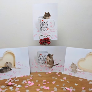 Simpatici biglietti per l'anniversario del gerbillo, confezione da 4 disegni misti, set di biglietti per l'anniversario degli animali A6, regalo di anniversario