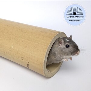 Hamster in cheap tube