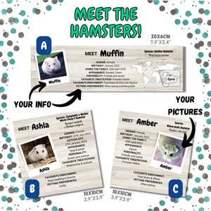 Puede incluir: Una tarjeta de informaci&oacute;n imprimible para due&ntilde;os de h&aacute;msteres. La tarjeta presenta una foto de un h&aacute;mster, el nombre del h&aacute;mster, la especie, el cumplea&ntilde;os y las golosinas favoritas. La tarjeta tambi&eacute;n incluye un mapa del origen del h&aacute;mster y una secci&oacute;n para la informaci&oacute;n del due&ntilde;o. La tarjeta est&aacute; dise&ntilde;ada para ser impresa y exhibida en un hogar u oficina.