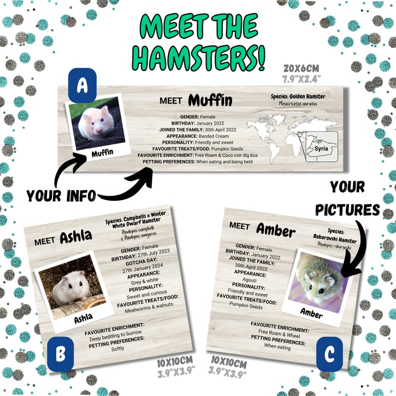 Puede incluir: Una tarjeta de informaci&oacute;n imprimible para due&ntilde;os de h&aacute;msteres. La tarjeta presenta una foto de un h&aacute;mster, el nombre del h&aacute;mster, la especie, el cumplea&ntilde;os y las golosinas favoritas. La tarjeta tambi&eacute;n incluye un mapa del origen del h&aacute;mster y una secci&oacute;n para la informaci&oacute;n del due&ntilde;o. La tarjeta est&aacute; dise&ntilde;ada para ser impresa y exhibida en un hogar u oficina.