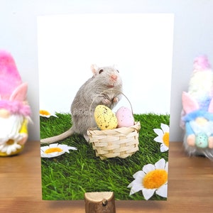 Jolie carte gerbille, Cartes d'animaux, Carte de Pâques A6 faite main, Cadeaux de Pâques, Panier de Pâques animal, Animaux de Pâques, ufs de Pâques, Pâques avec oeuf