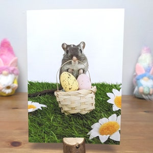 Jolie carte gerbille, Cartes d'animaux, Carte de Pâques A6 faite main, Cadeaux de Pâques, Panier de Pâques animal, Animaux de Pâques, ufs de Pâques, Pâques avec oeuf