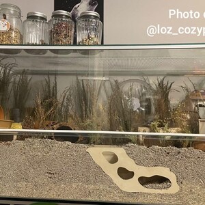 Puede incluir: Una jaula de cristal para h&aacute;mster con sustrato de arena, una escondite de madera y una variedad de plantas y decoraciones. La jaula es de dos niveles y tiene una tapa de cristal transparente. El texto "Koji" est&aacute; escrito en la parte superior de la jaula.