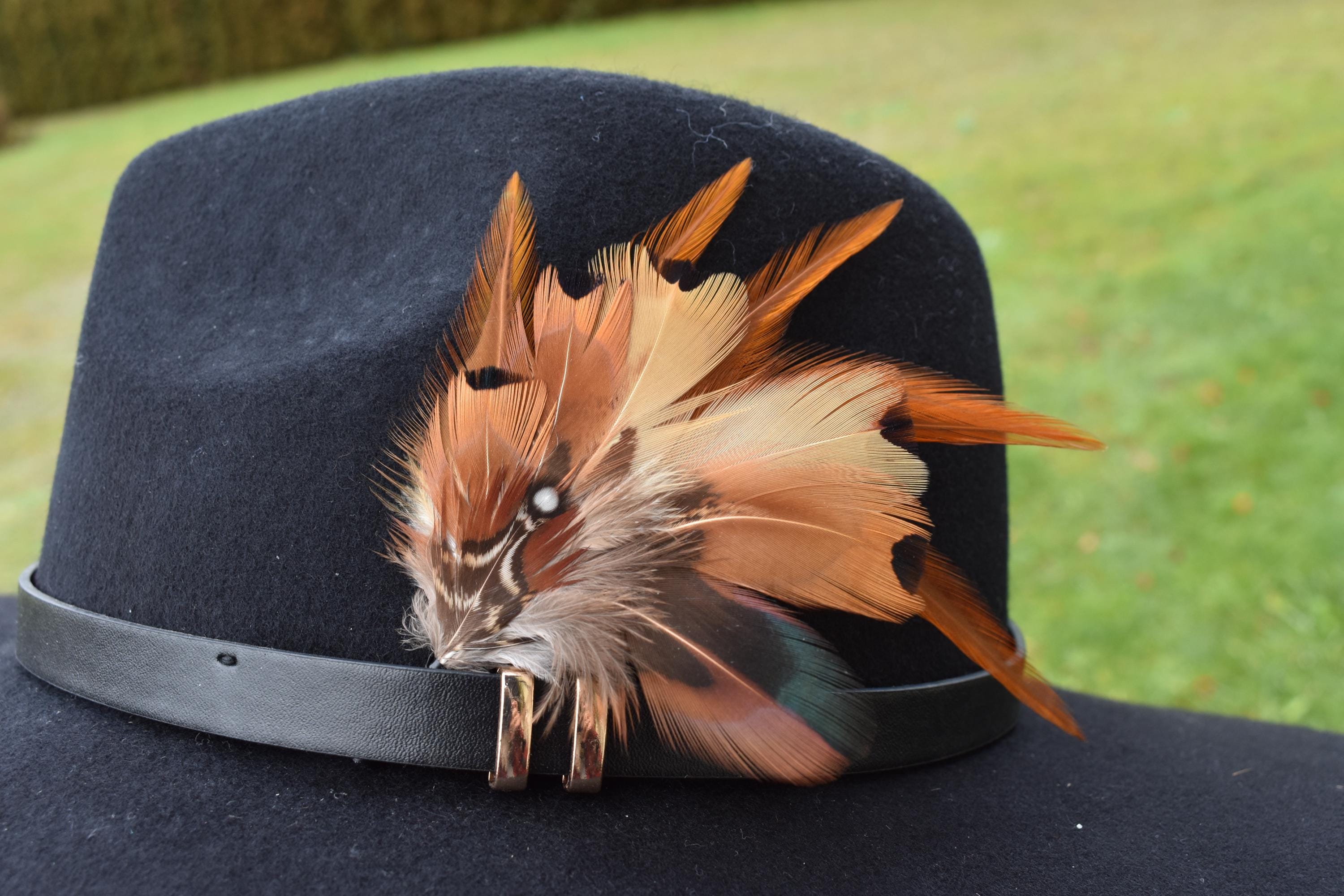 12 Plumes Naturelles Pour Chapeau - Déco Cowboy, Carnaval, DIY