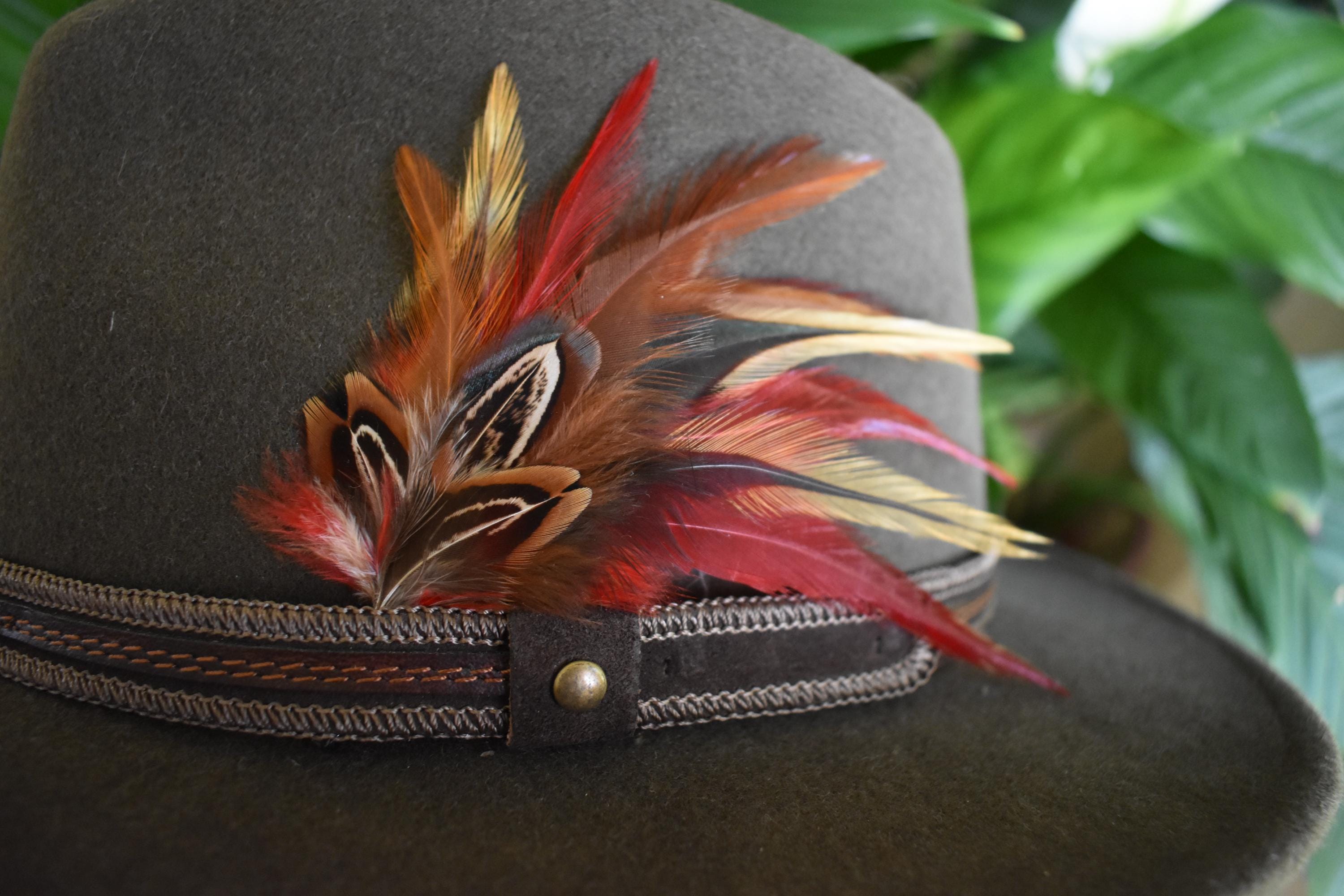 10 Piume Naturali Per Cappelli - Decorazioni Colorate Per Cappelli Da Cowboy E Fai Da Te - Foto 6