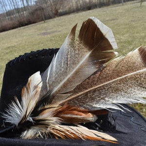 Turkey feather for hat cowboy, fedora, trilby for men, women, unisex.  38