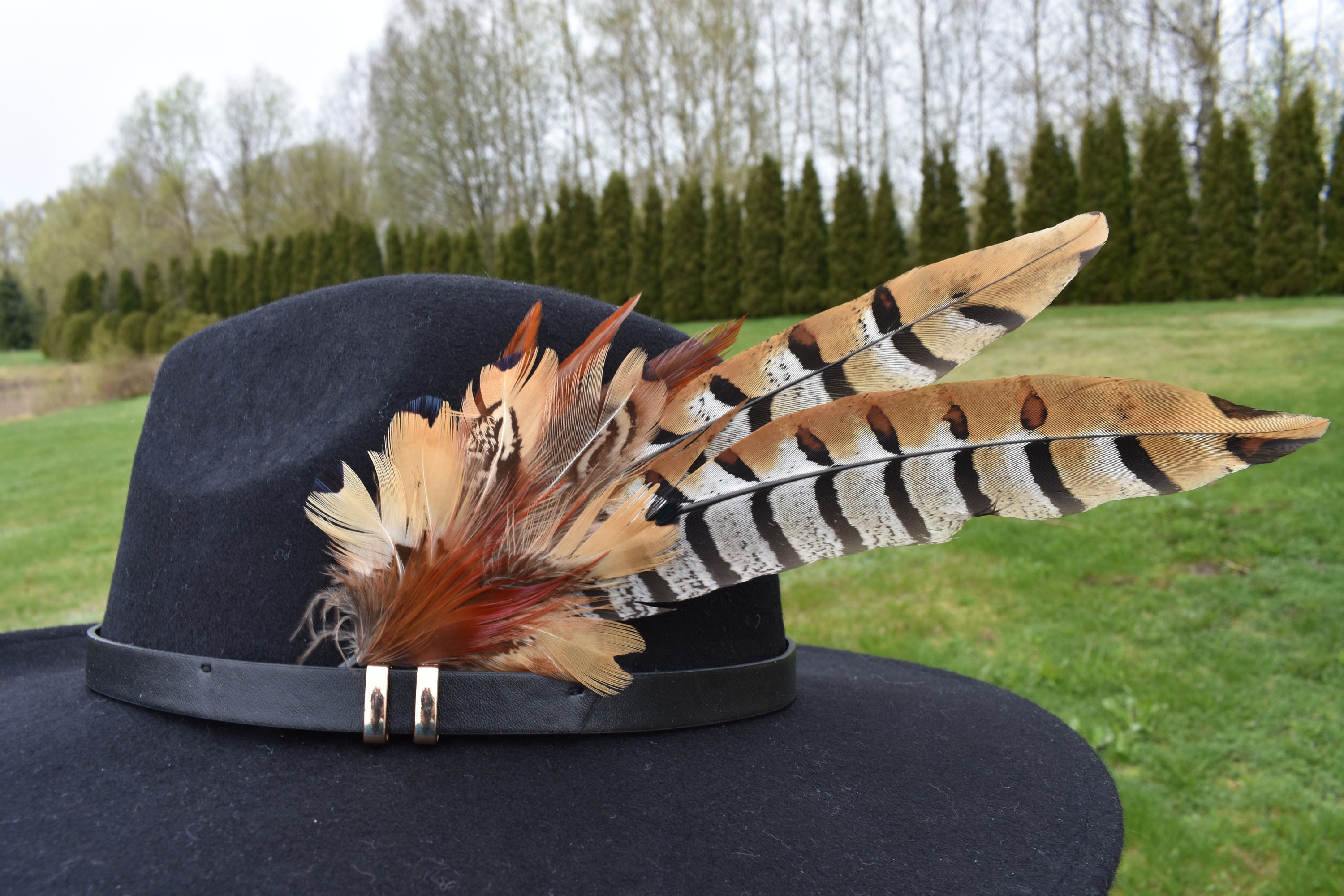 Feathers for Hats Fedora, Trilby for Men, Women, Unisex. - Etsy