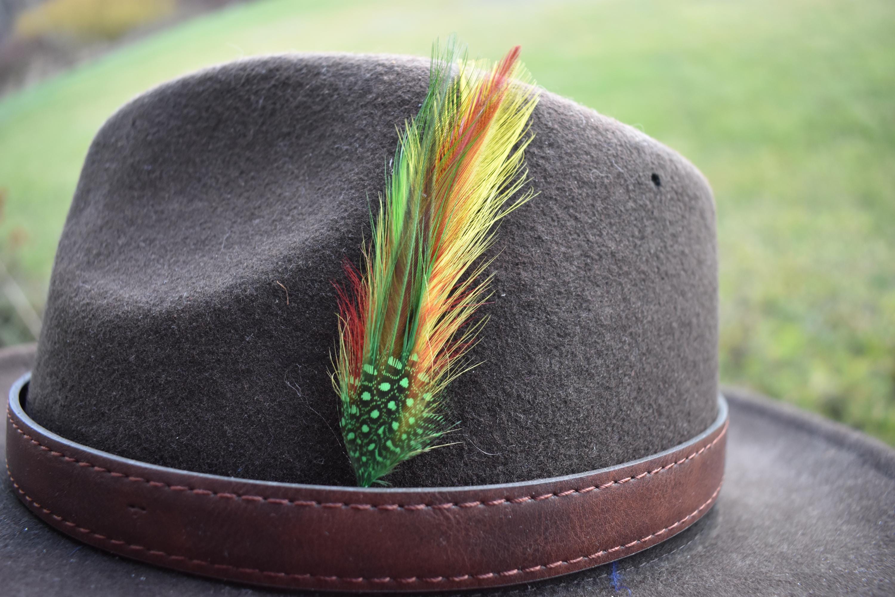 Black Fedora Feather - Etsy