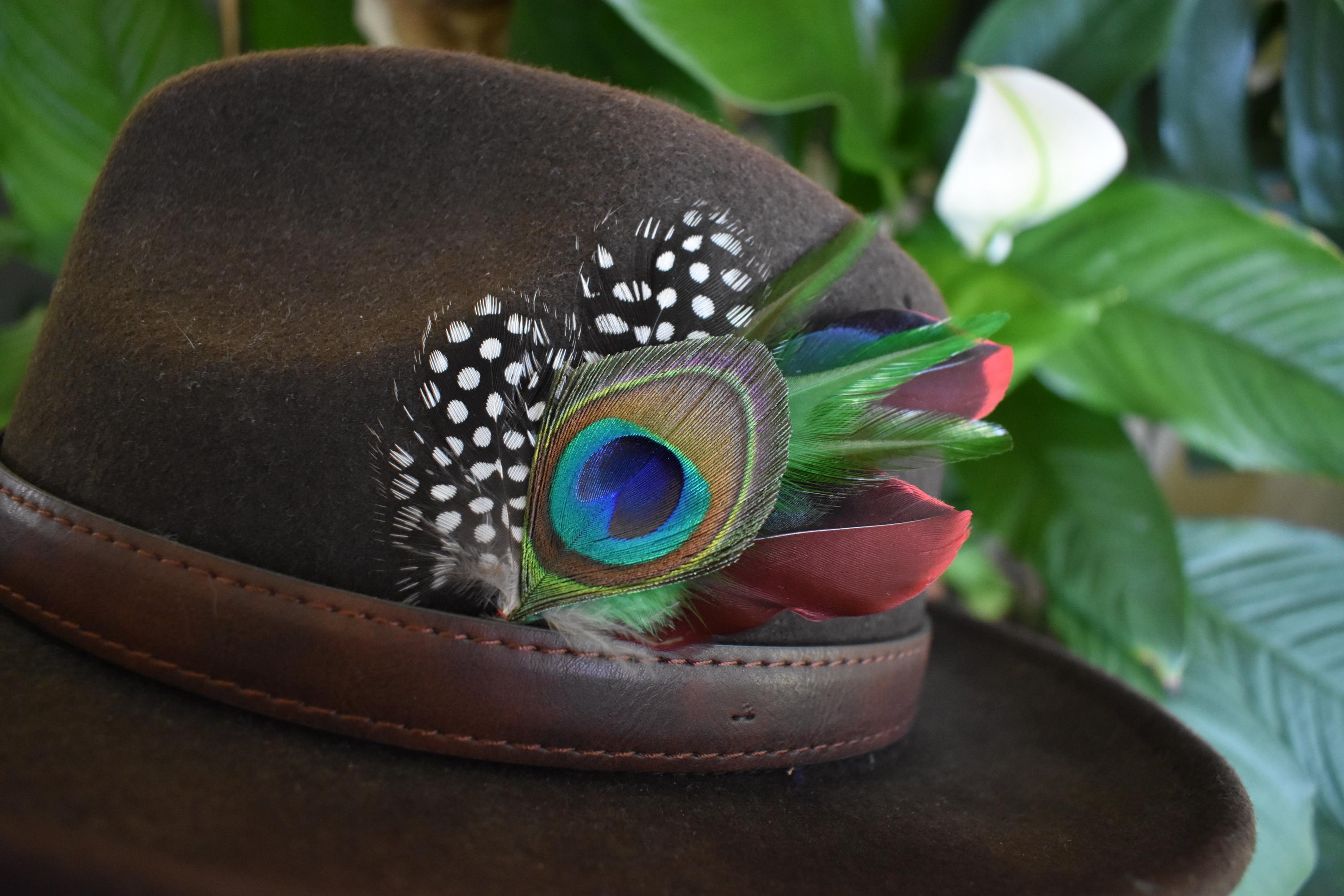 Hat Feathers for Men, Women, Unisex. - Etsy