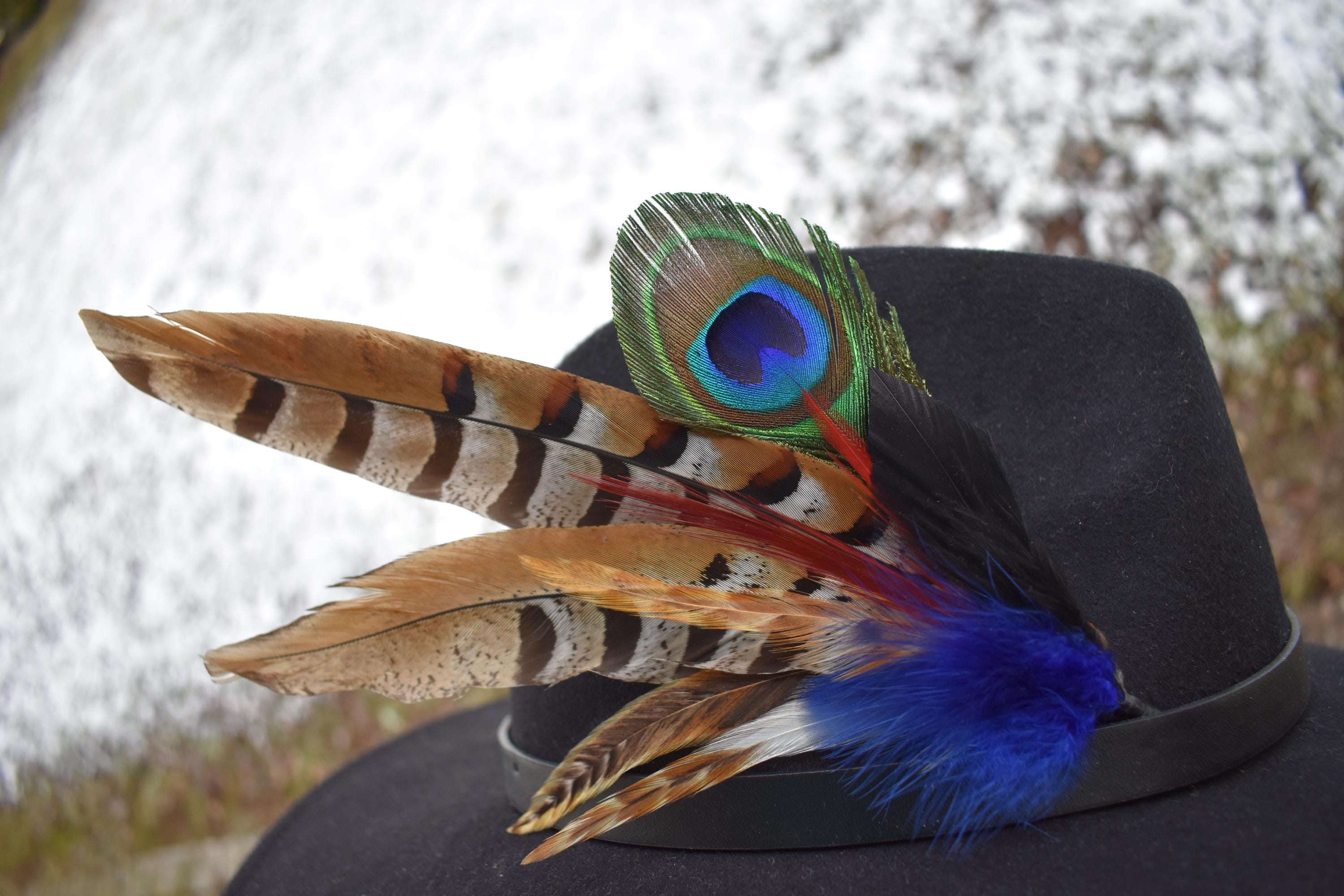 Feathers for Hats Fedora, Trilby for Men, Women, Unisex. - Etsy