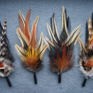 Hat feathers for men, women, unisex.