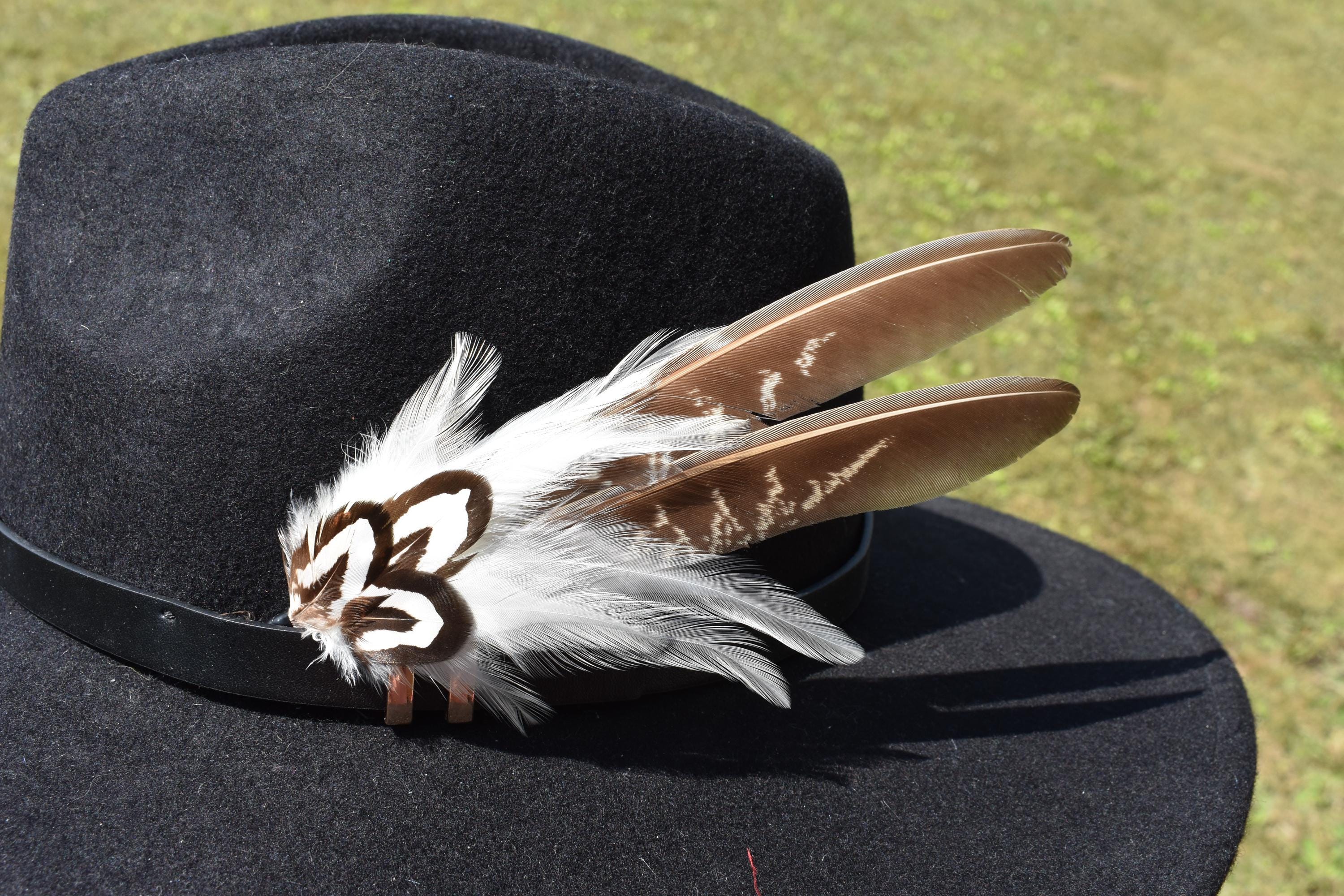 Fedora Hats For Men 12-Piece Assorted Color Feather Plume Trim For