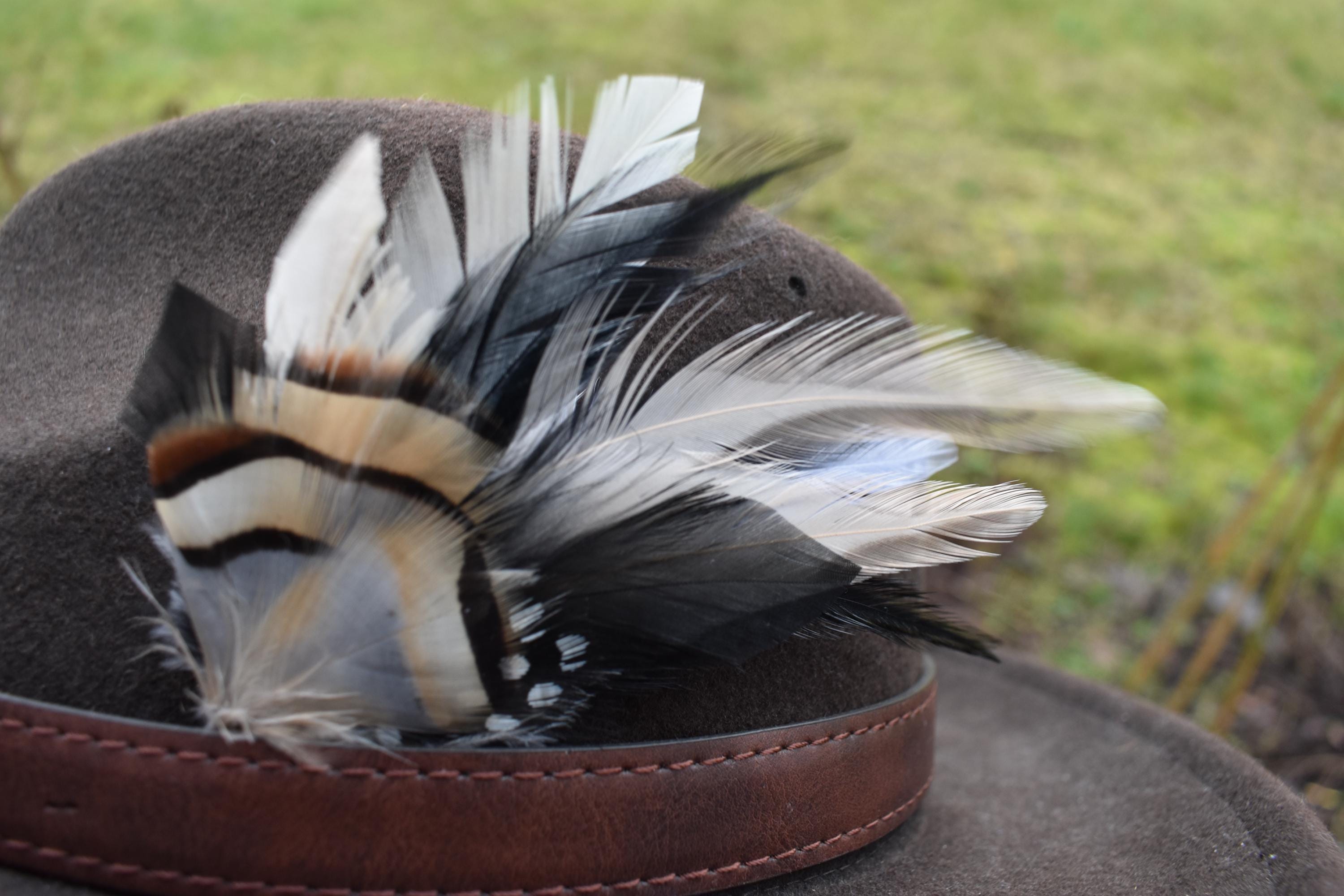 Buy Feather Hat Feathers for Men, Women, Unisex. Online in India