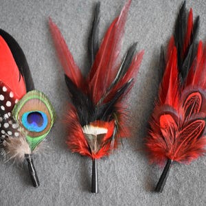 以下が含まれることがあります： 3つの装飾的な羽のヘアアクセサリー。1つは、赤、黒、白の斑点のある羽、孔雀の羽、茶色の羽が特徴です。他の2つは赤と黒の羽があります。それぞれ黒い茎があります。